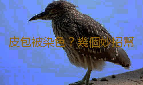 皮包被染色?幾個妙招幫你輕鬆解決!