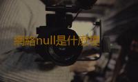 網絡null是什麽梗