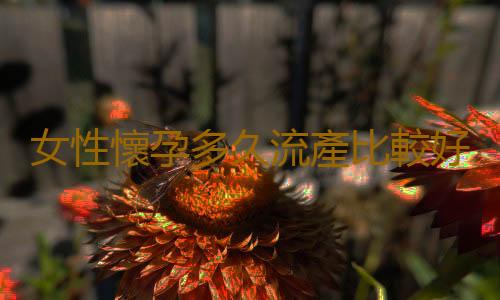 女性懷孕多久流產比較好