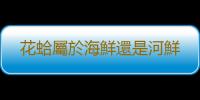 花蛤屬於海鮮還是河鮮