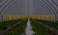 試管嬰兒胎停育是怎麽回事