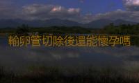 輸卵管切除後還能懷孕嗎